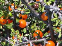 Albums/20060200-New Zealand 2006/20060317-Cook/29